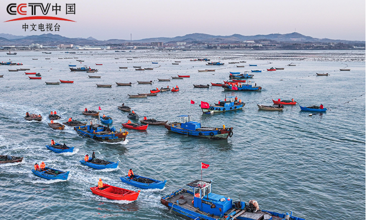 海上养殖作业忙