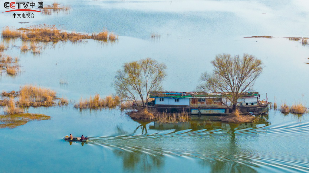 江苏泗洪：初春湿地景如画