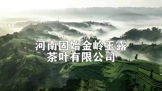 河南固始“金岭玉露”香飘万家走出国门